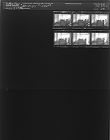 Cucumber feature (6 Negatives), July 10-11, 1964 [Sleeve 28, Folder c, Box 33]